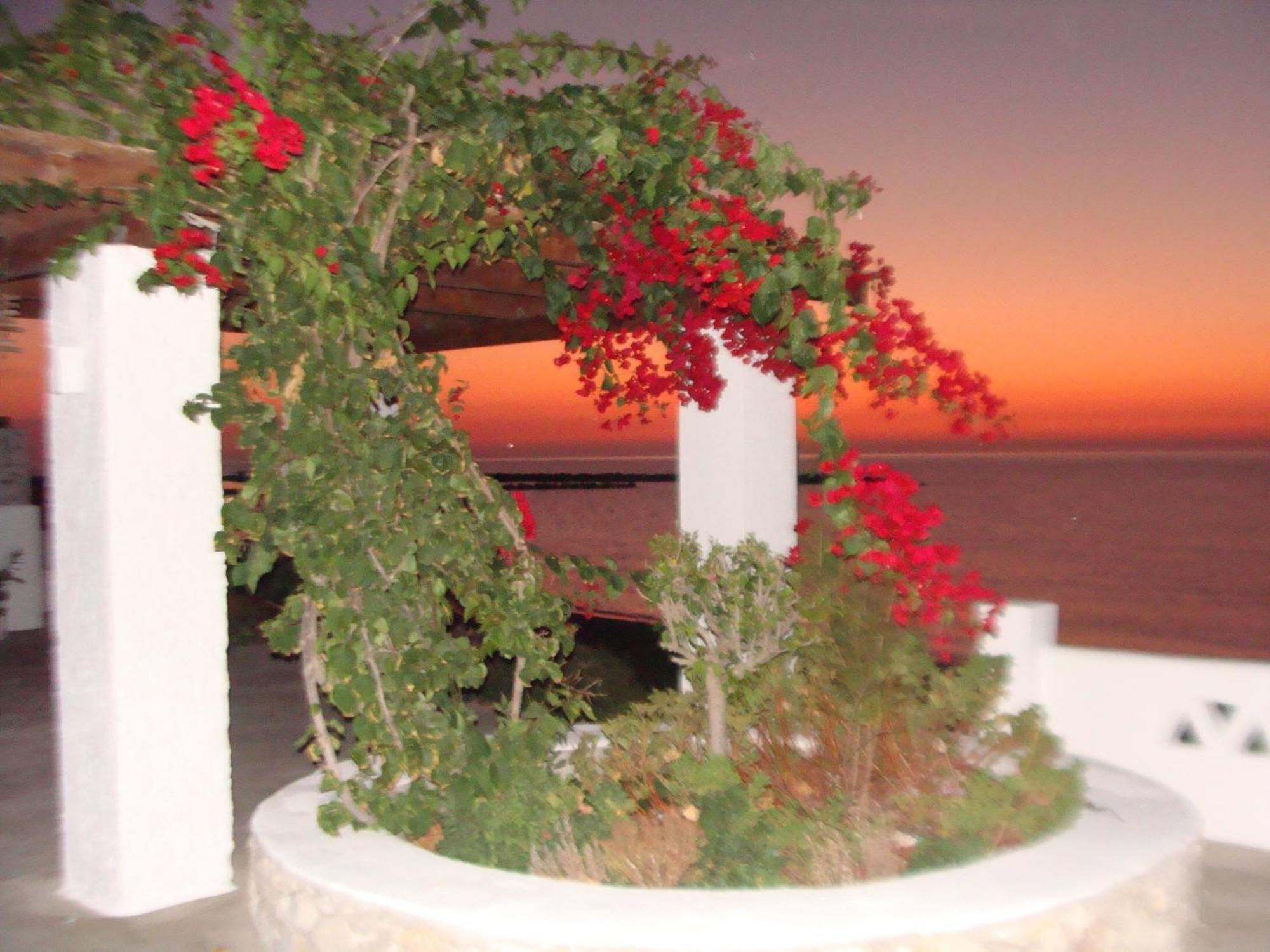 Παραθιν Αλοσ 2 Lägenhet Skyros Exteriör bild